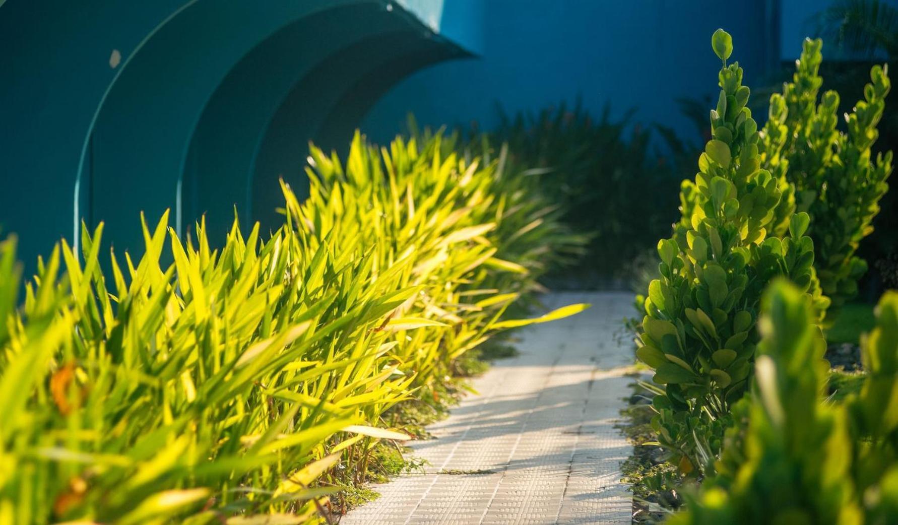 Beach Break Resort & Cr Surf Camp Jacó Екстериор снимка