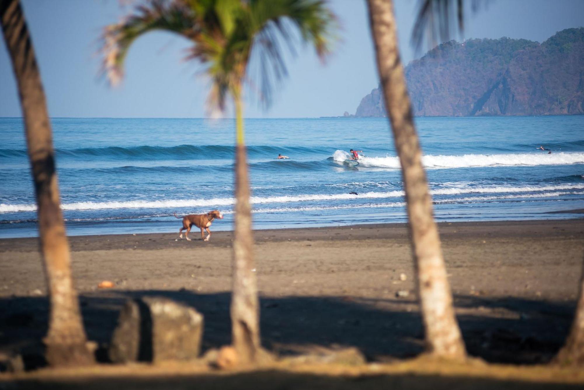 Beach Break Resort & Cr Surf Camp Jacó Екстериор снимка